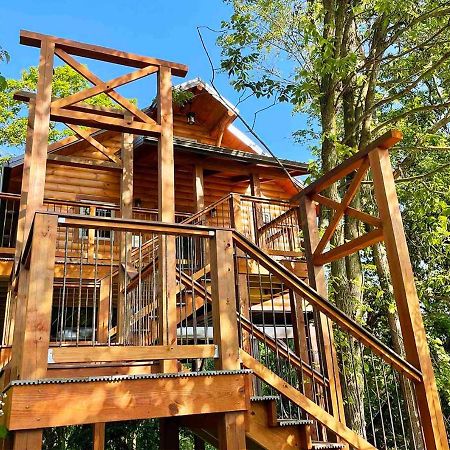 Cricket Hill Treehouse By Amish Country Lodging Millersburg Exterior photo